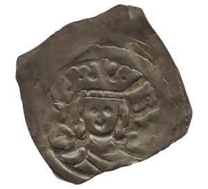 Rudolf of Habsburg 1276-1282, Styria, fenik CNA D 26