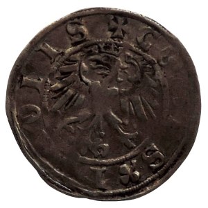 Maximilian I. Tirol 1490/3-1519, kreutzer b.l. Hahn 31b