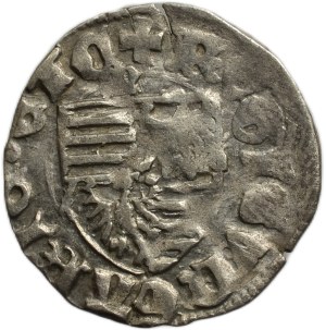 Sigismund of Luxembourg 1387-1437, denarius Huszár 576