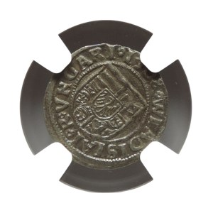 Vladislav of Jagiellon 1471-1516, denarius 1508 P-H, NGC MS 62