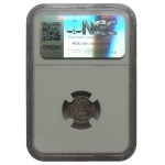 Vladislav of Jagiellon 1471-1516, denarius 1508 P-H, NGC MS 62