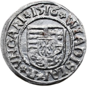 Vladislav of Jagiellon 1471-1516, denarius 1516 KG