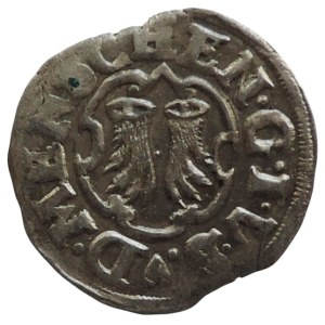 Braunschweig-Wolfenbüttel, Friedrich Ulrich 1613-1634, 1/24 tol. 1618