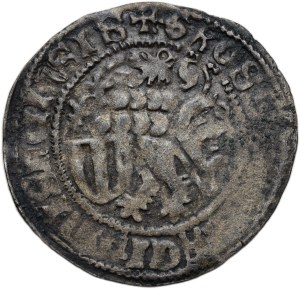 Saxony, Meissen, Friedrich II. 1428-1464, shield groschen