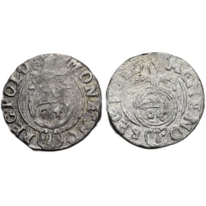 Polsko, Zikmund III. Vasa 1587-1632, poltorak 1624