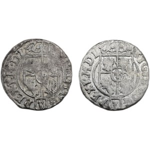 Polsko, Zikmund III. Vasa 1587-1632, poltorak 1624