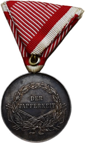 Great Silver Medal for Bravery