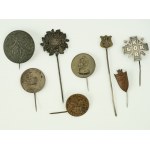 Set of eight patriotic pins. To the Defenders of the Eastern Borderlands, Orphan