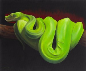 Aleksandra Kwapiszewska (b. 1989, Lodz), 