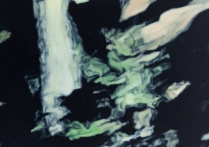 Zuzanna Distel (b. 1998, Pszczyna), 