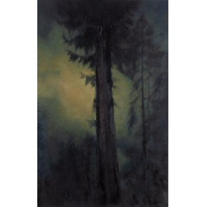 Łukasz Jacek (ur. 1978), Evernight 2, 2019
