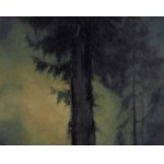 Łukasz Jacek (ur. 1978), Evernight 2, 2019