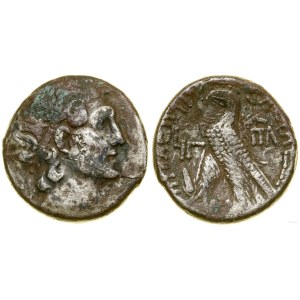 Grecja i posthellenistyczne, tetradrachma, (104 pne) - 13 rok panowania Kleopatry /, Aleksandria