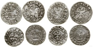 Poland, set of 4 Jagiellonian half-pennies