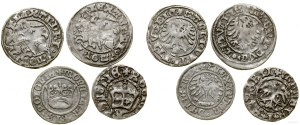 Poland, set of 4 Jagiellonian half-pennies