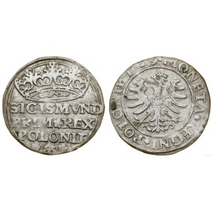 Poland, penny, 1529, Cracow