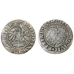 Poland, penny, 1534, Elbląg