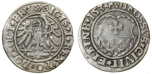Poland, penny, 1534, Elbląg