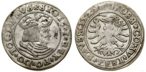 Poland, penny, 1529, Torun