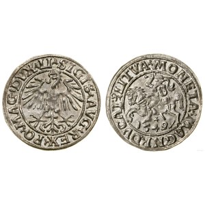 Poland, half-penny, 1549, Vilnius