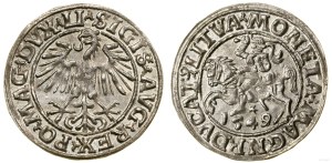 Poland, half-penny, 1549, Vilnius