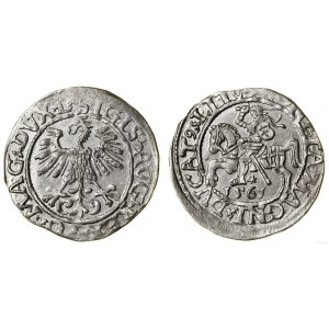 Polska, półgrosz, 1561, Wilno