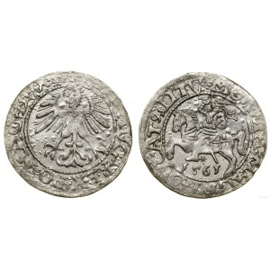 Polska, półgrosz, 1561, Wilno