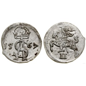 Polska, dwudenar, 1567, Wilno