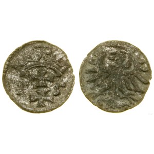 Polska, denar, 1555, Gdańsk