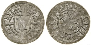 Pomerania, witten, 1512, Szczecin