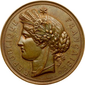 French Indochina Hanoi Exposition Medal 1887