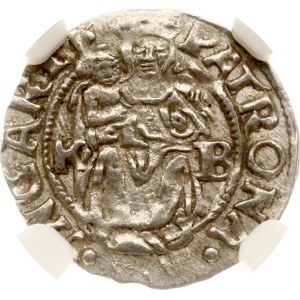 Hungary Denar (1526-1564) NGC MS 62