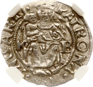Hungary Denar (1526-1564) NGC MS 62