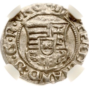 Hungary Denar (1526-1564) NGC MS 62