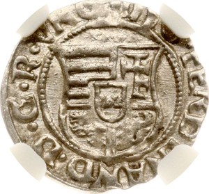 Hungary Denar (1526-1564) NGC MS 62