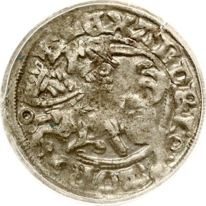 Lituania Polgrosz ND (1501-1506) Vilnius ANACS EF 45