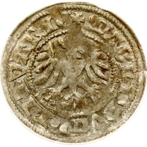 Lituania Polgrosz ND (1501-1506) Vilnius ANACS EF 45