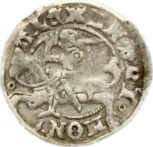 Lithuania Polgrosz ND (1495-1506) Vilnius PCGS XF 40