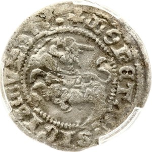 Lithuania Polgrosz ND (1508-1529) Vilnius Double stuck PCGS XF 45 MAX GRADE