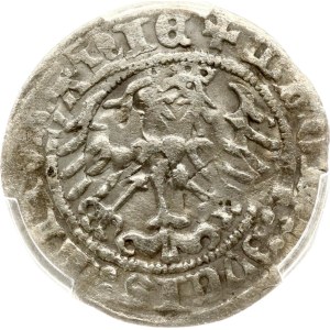 Lithuania Polgrosz ND (1508-1529) Vilnius Double stuck PCGS XF 45 MAX GRADE