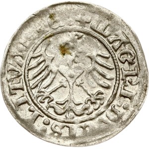 Lituania Polgrosz 1516 Vilnius (R)
