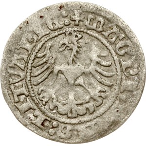 Lituania Polgrosz 1517 Vilnius (R)