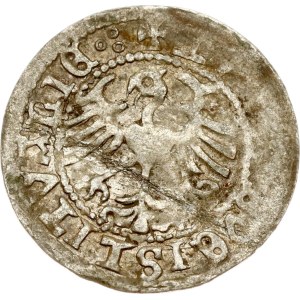Lithuania Polgrosz 1519 Vilnius (gothic/renaissance)