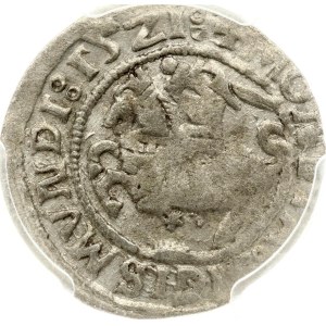 Lithuania Polgrosz 1521 Vilnius (R) PCGS XF 45 MAX GRADE