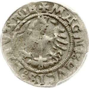 Lithuania Polgrosz 1521 Vilnius (R) PCGS XF 45 MAX GRADE
