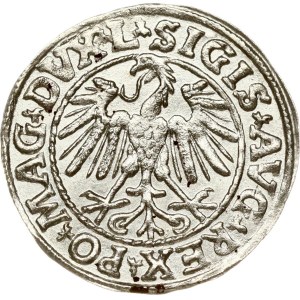 Lituania Polgrosz 1547 Vilnius