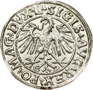 Lithuania Polgrosz 1547 Vilnius