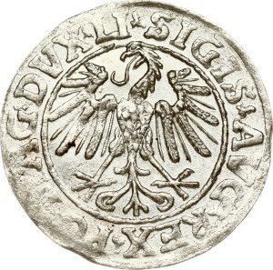 Lithuania Polgrosz 1547 Vilnius Arabic numeral 1