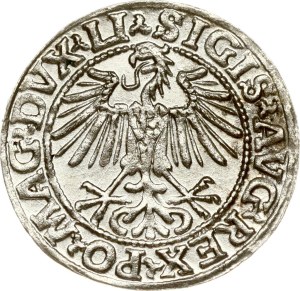 Lithuania Polgrosz 1548 Vilnius Arabic numeral 1