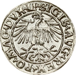 Lithuania Polgrosz 1549 Vilnius